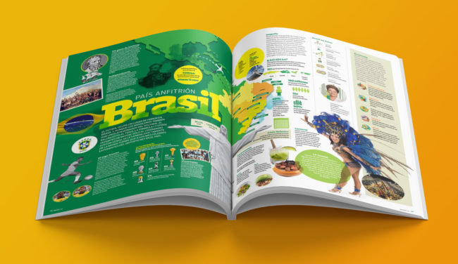 2014 Brazil FIFA World Cup publication