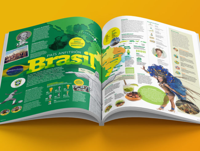 2014 Brazil FIFA World Cup publication